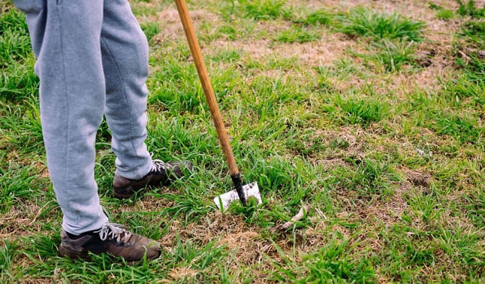 12 Best Shoes for Yard Work and Cutting Grass